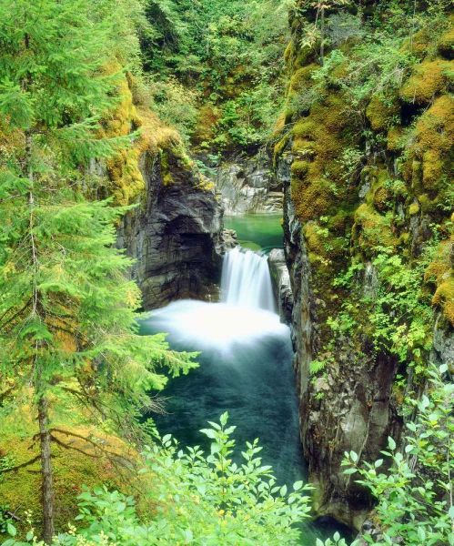 Canada, BC Waterfall on Little Qualicum River